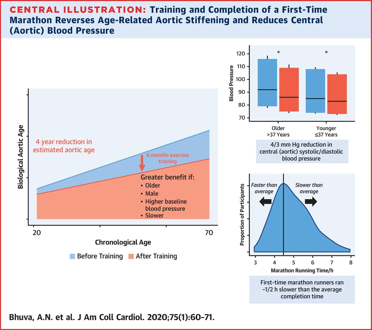 Descending Aorta Function